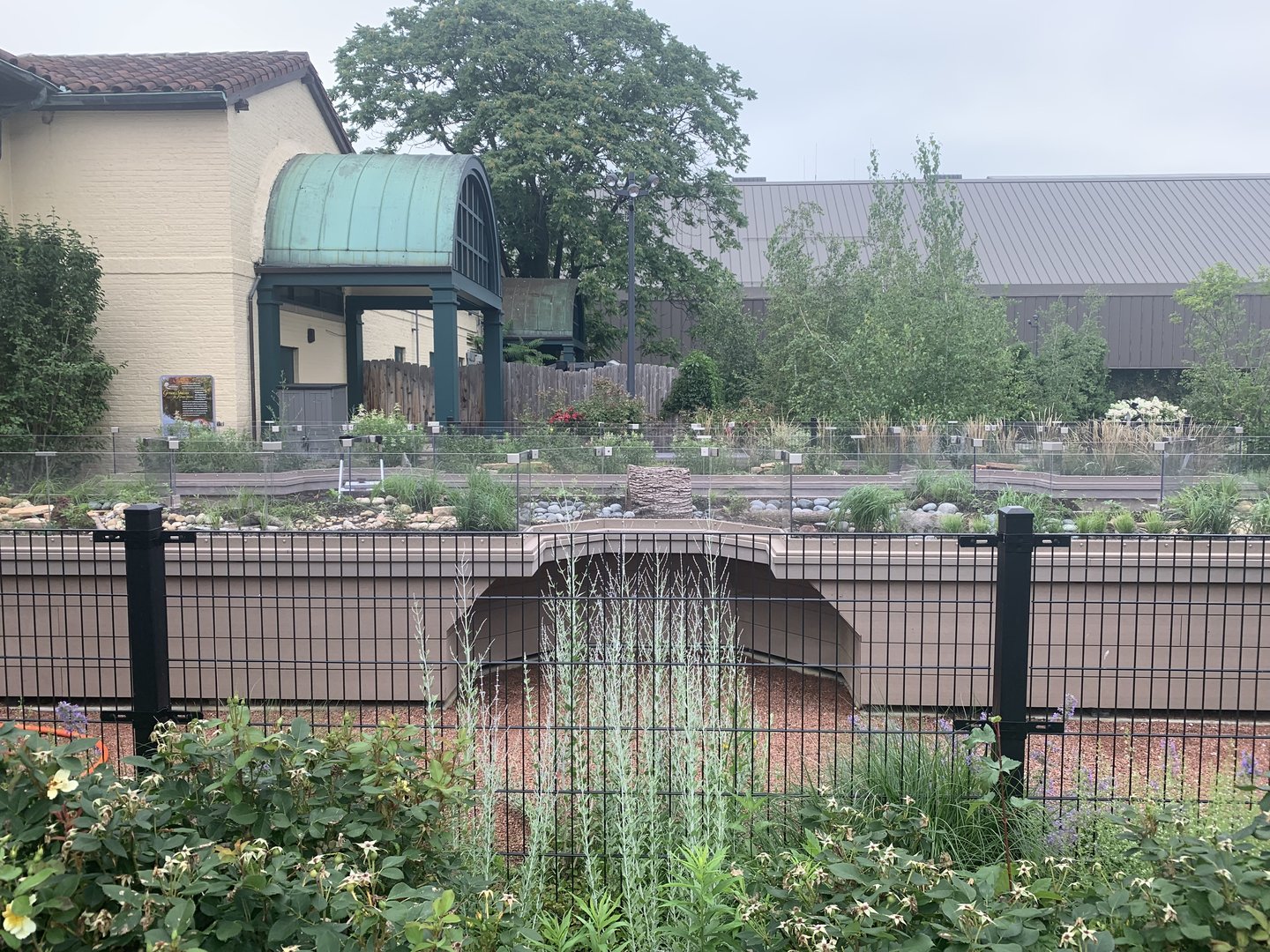 Progress on new turtle exhibits by Hamill Family garden