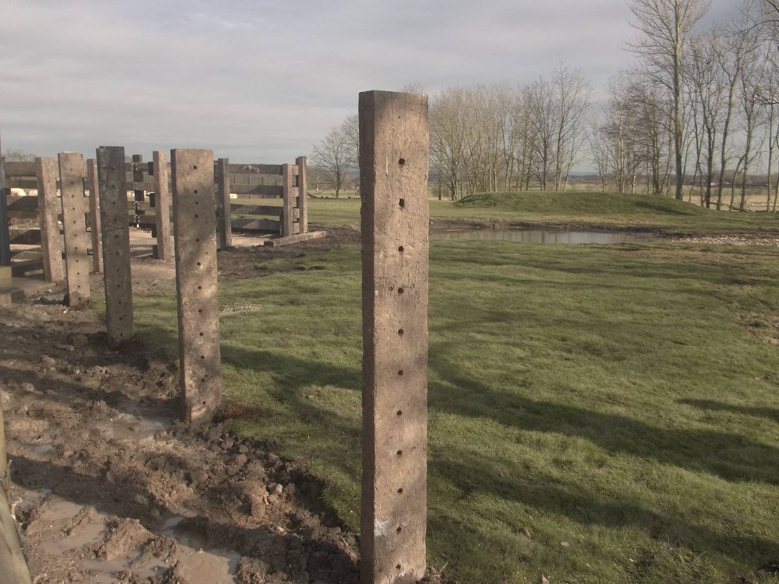 Progress on Rhinoceros development, 18th February 2015