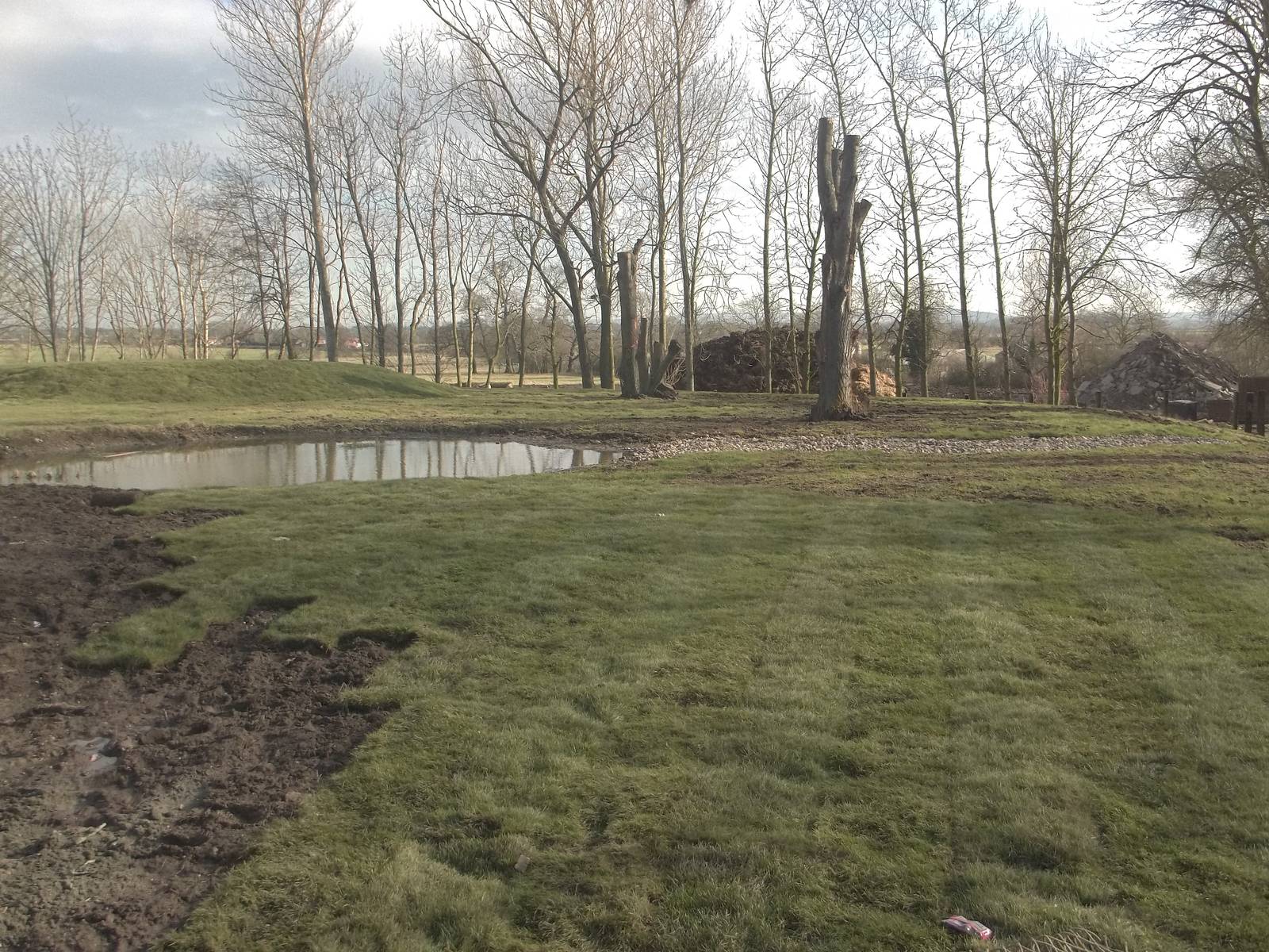 Progress on Rhinoceros development, 18th February 2015