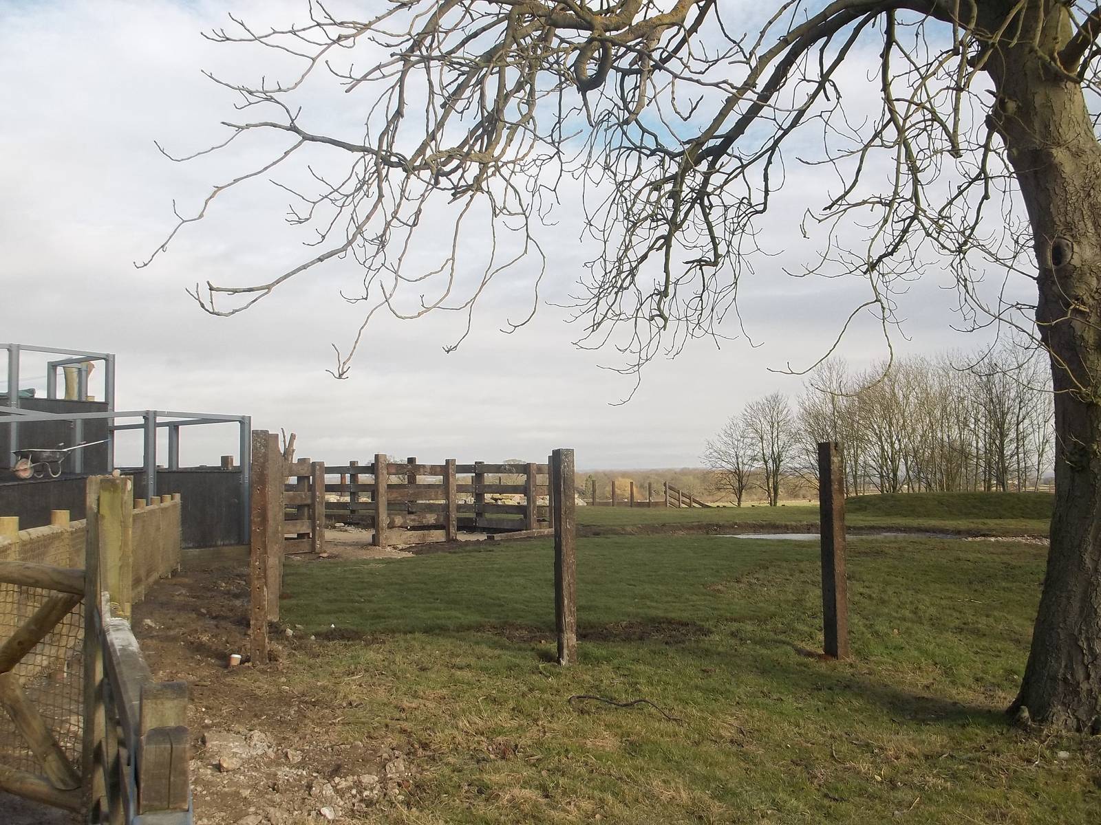 Progress on Rhinoceros development, 18th February 2015