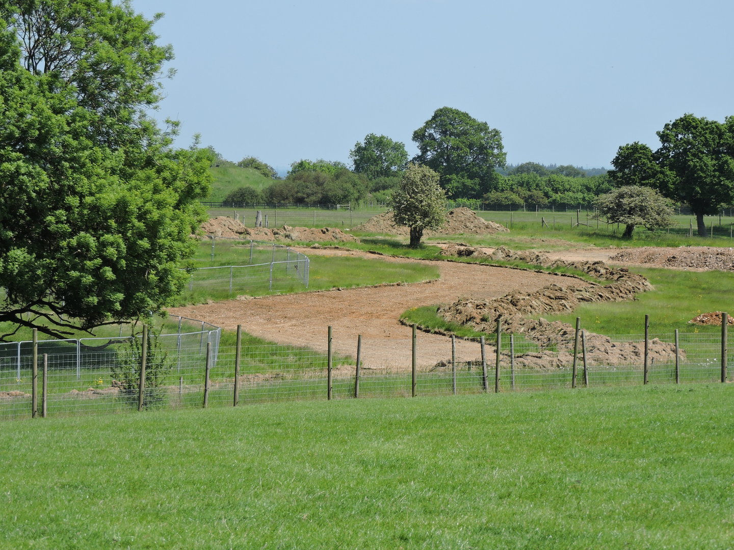 Progress on Sulawesi Macaque/Anoa area