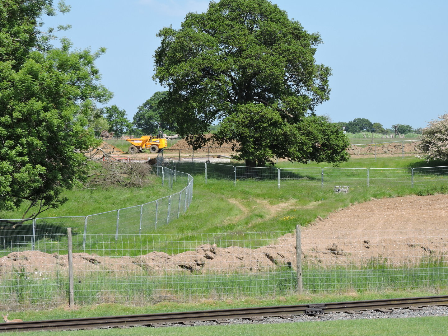 Progress on Sulawesi Macaque/Anoa area