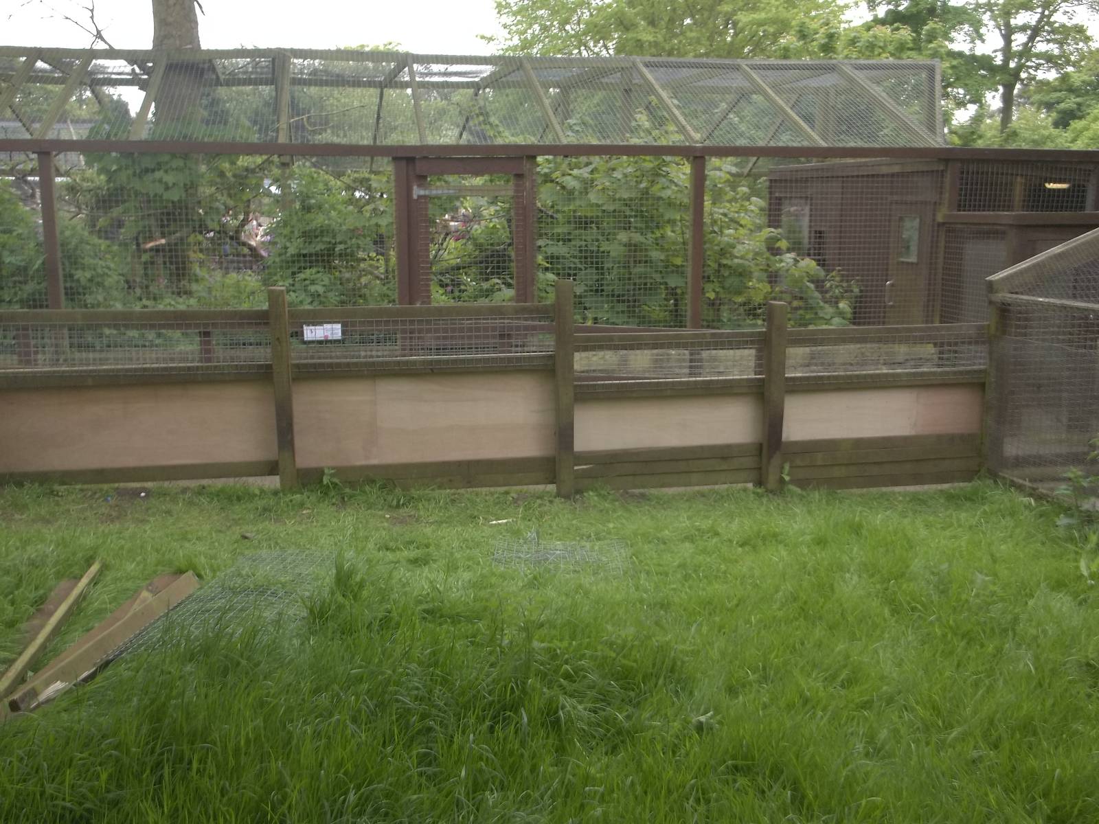 Progress on the Raccoon Dog exhibit extension, 27th May 2015