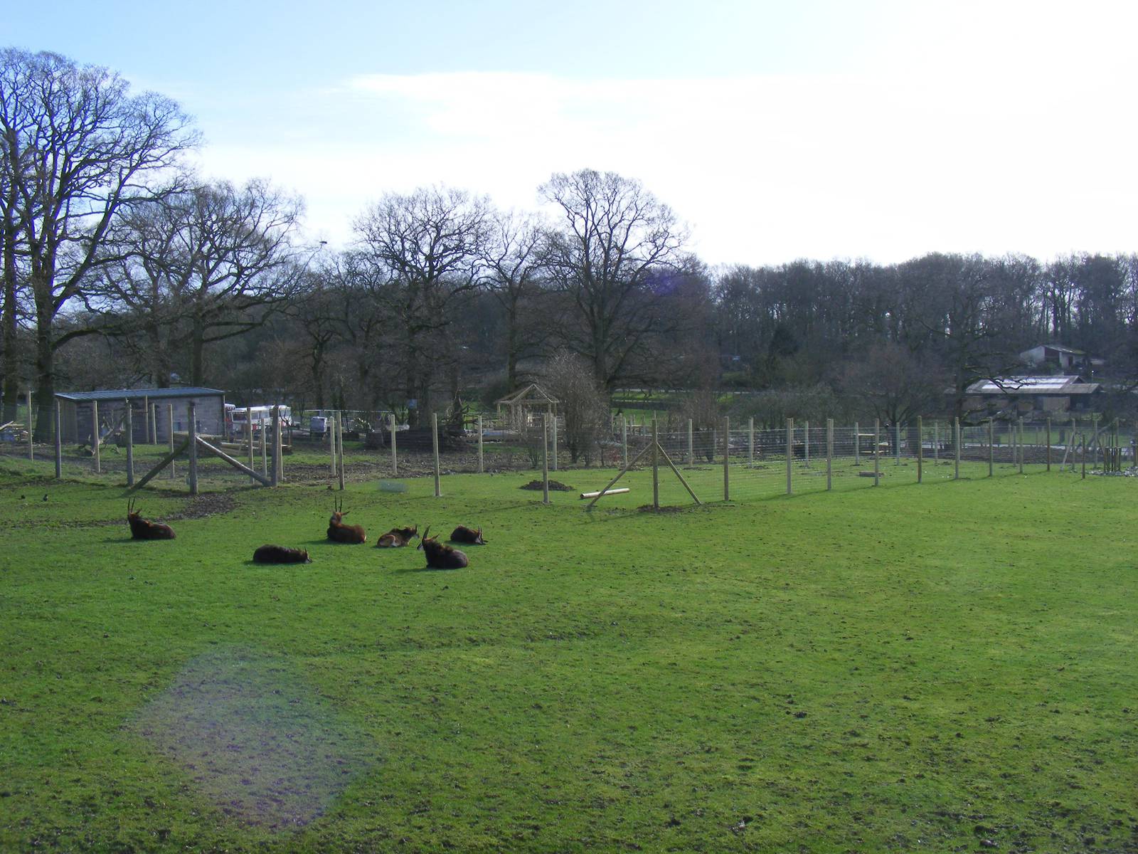 Progress with cheetah enclosure at Marwell Wildlife, 27 February 2011