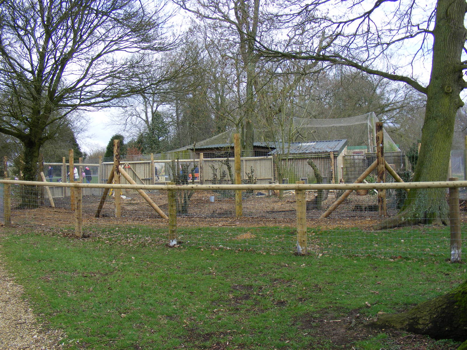 Progression of new serval enclosure at Marwell Wildlife, 21 March 2010