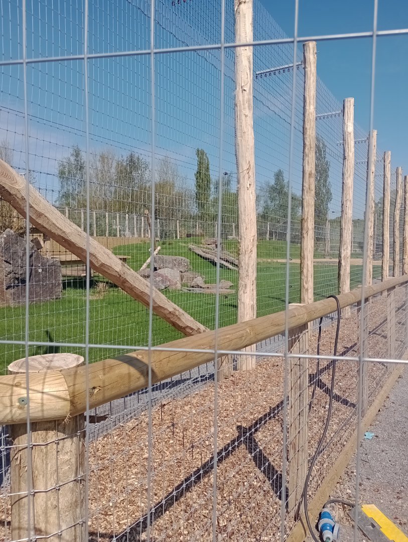 Project Carnivora construction