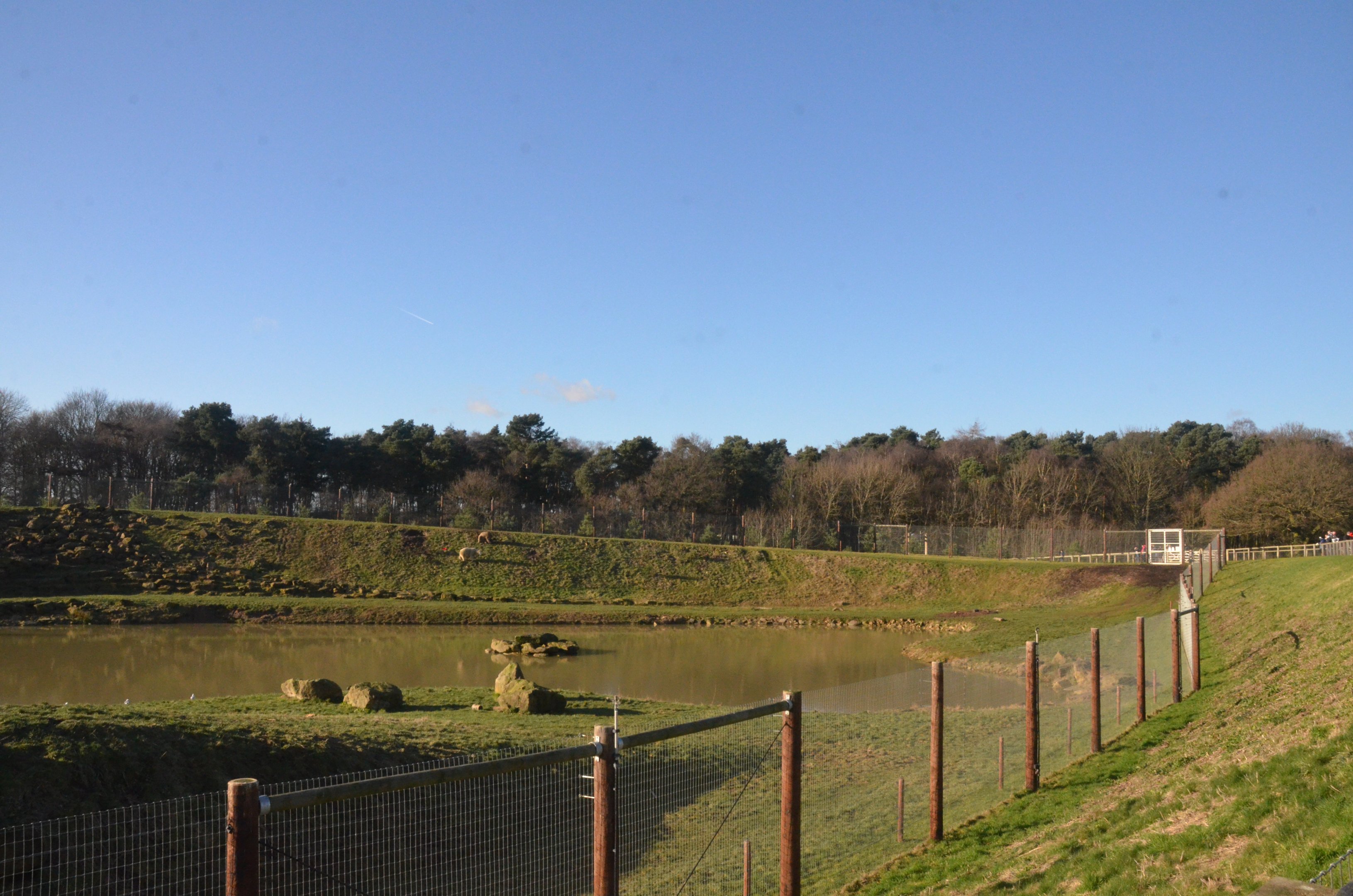 Project Polar at Yorkshire WP, 14/01/17