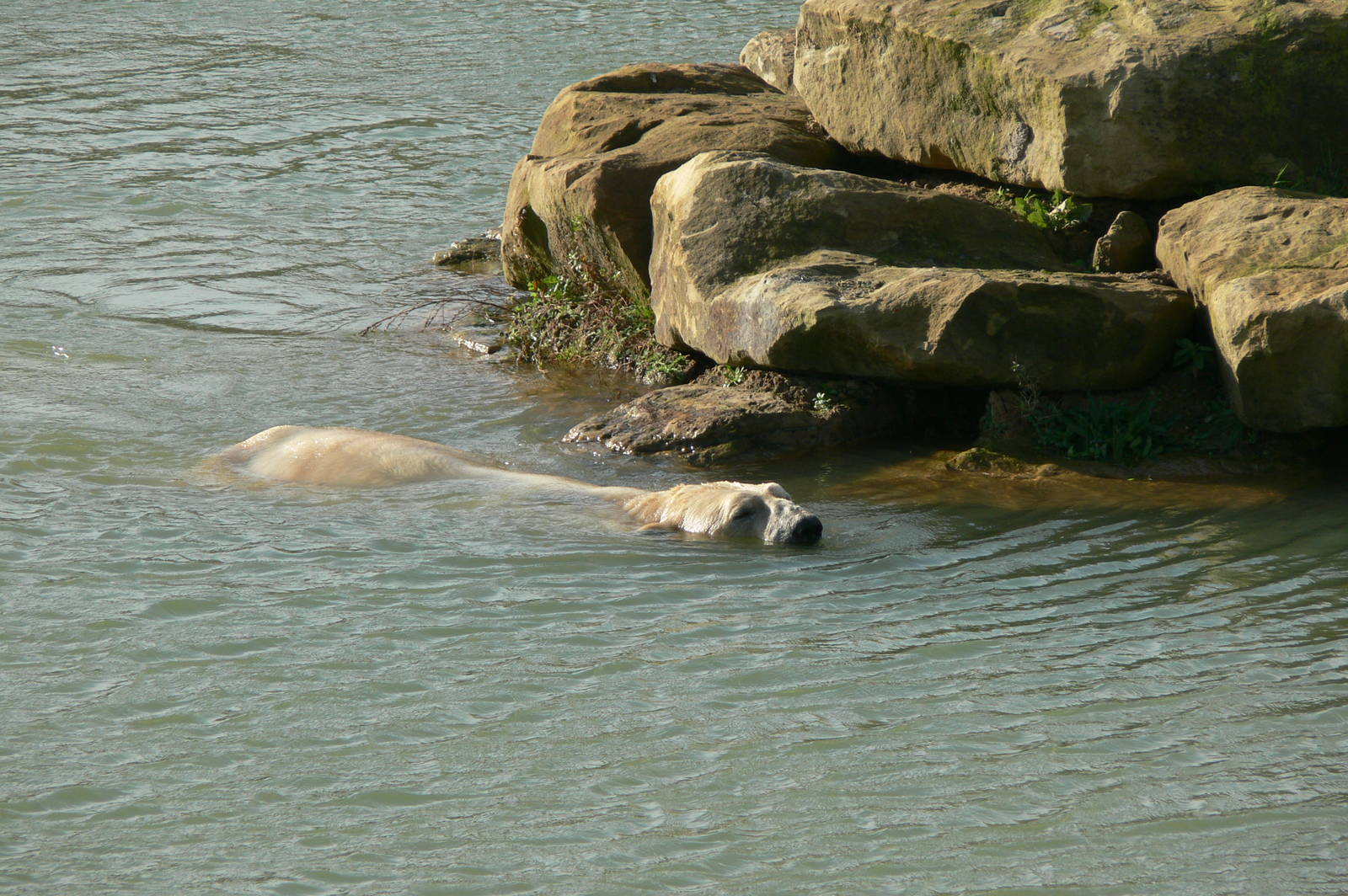 Project Polar! at Yorkshire WP, 28/10/14
