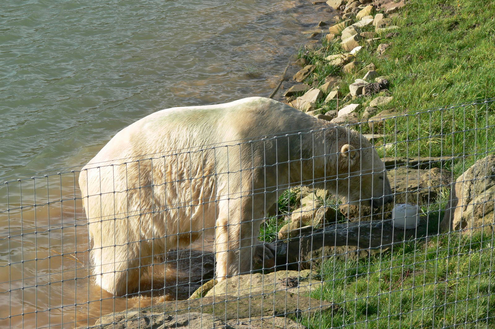 Project Polar! at Yorkshire WP, 28/10/14