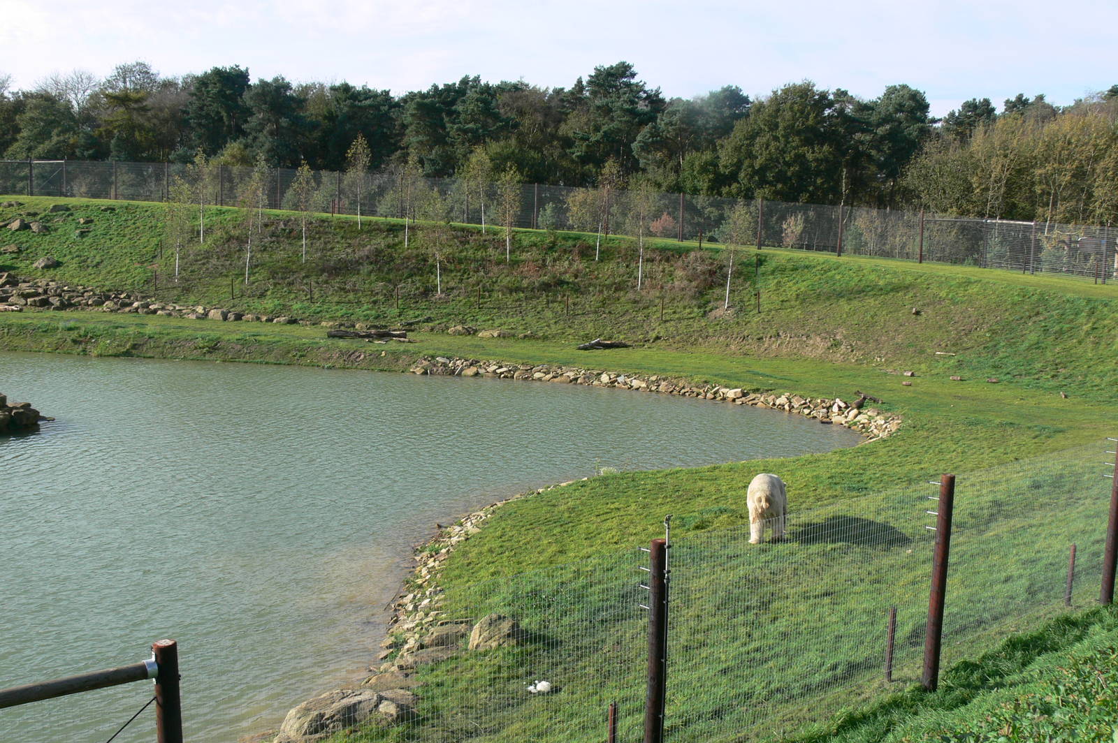 Project Polar! at Yorkshire WP, 28/10/14