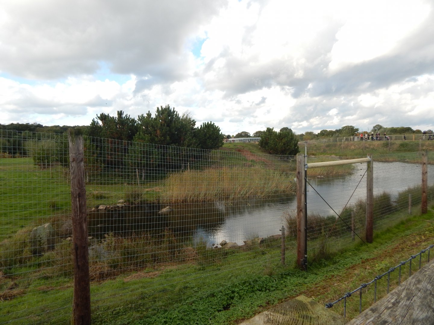 Project Polar habitat 121024