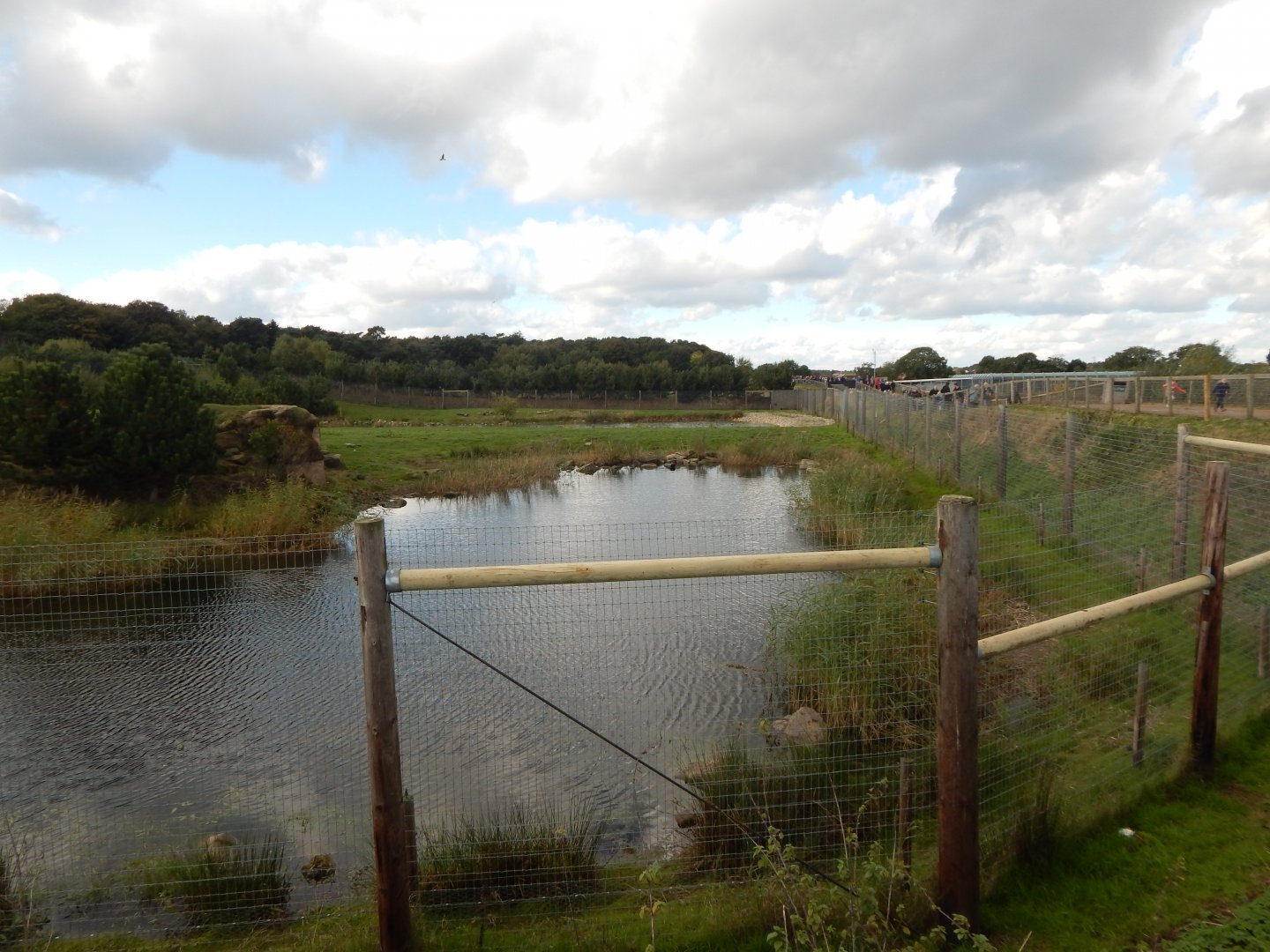 Project Polar habitat 121024