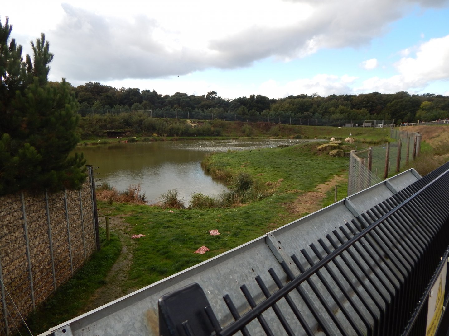 Project Polar habitat 121024