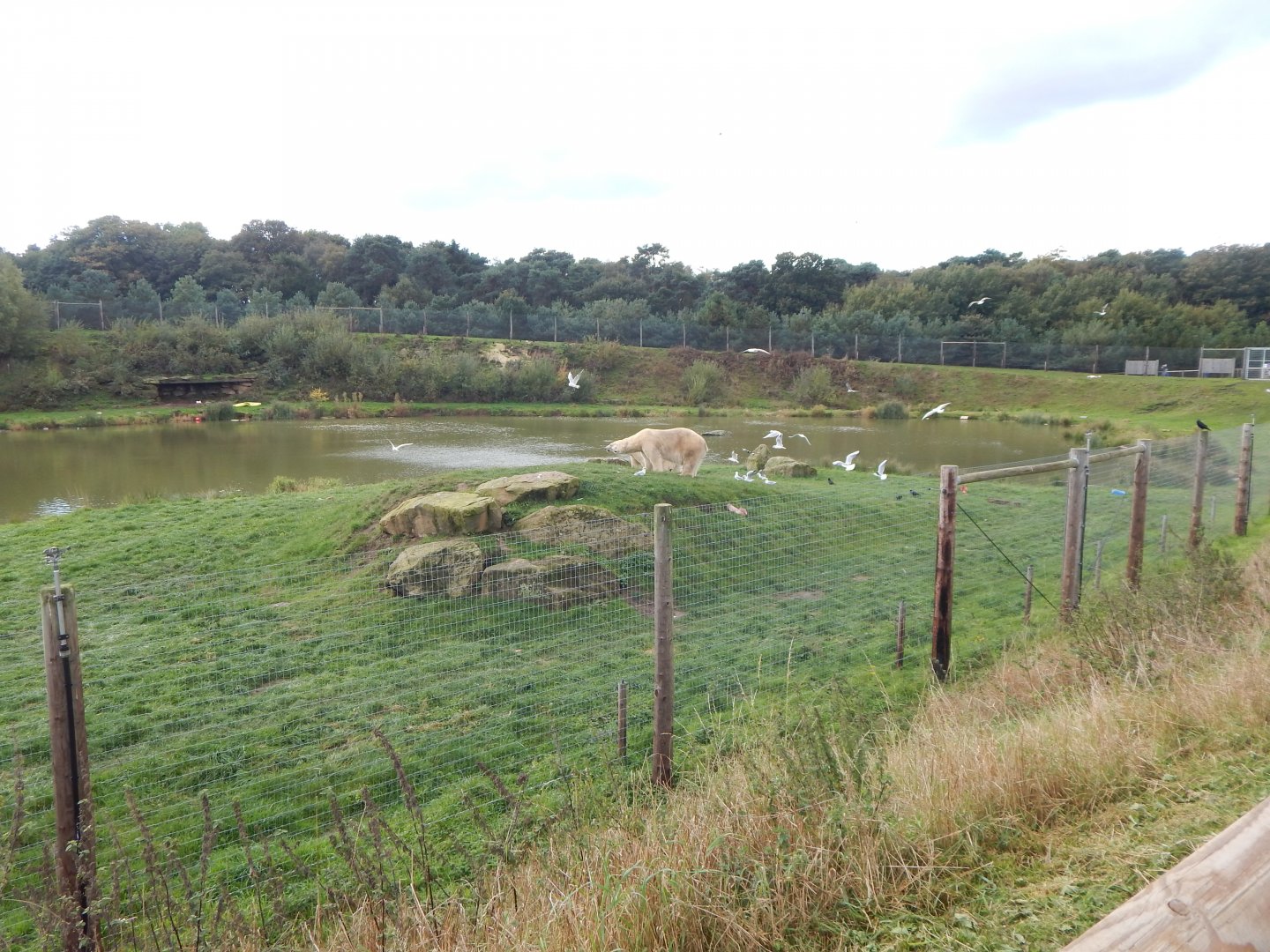 Project Polar habitat 121024