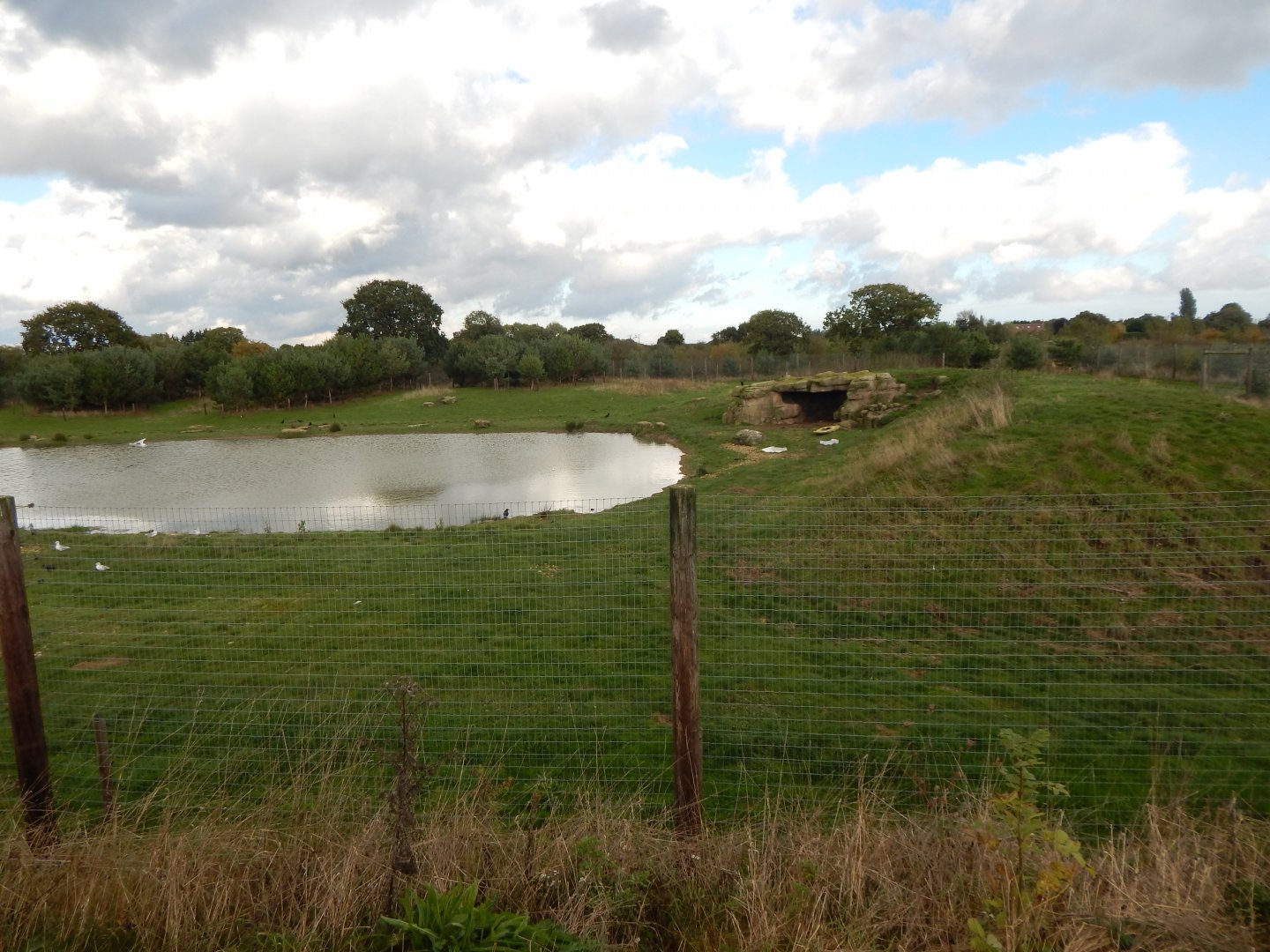 Project Polar habitat 121024