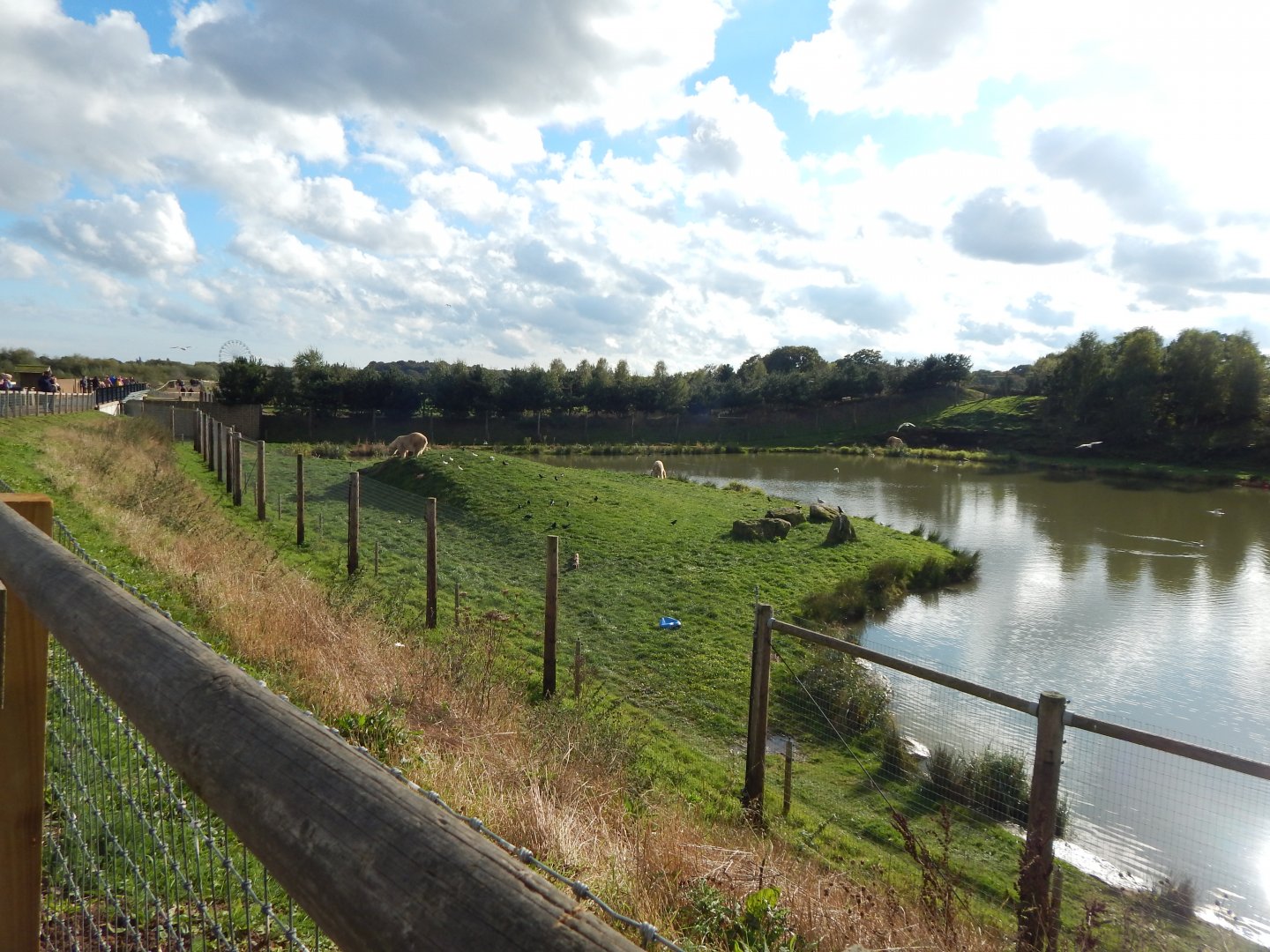 Project Polar habitat 121024