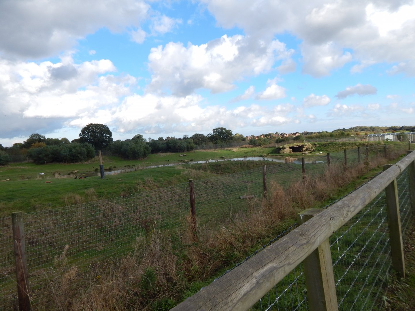 Project Polar habitat 121024