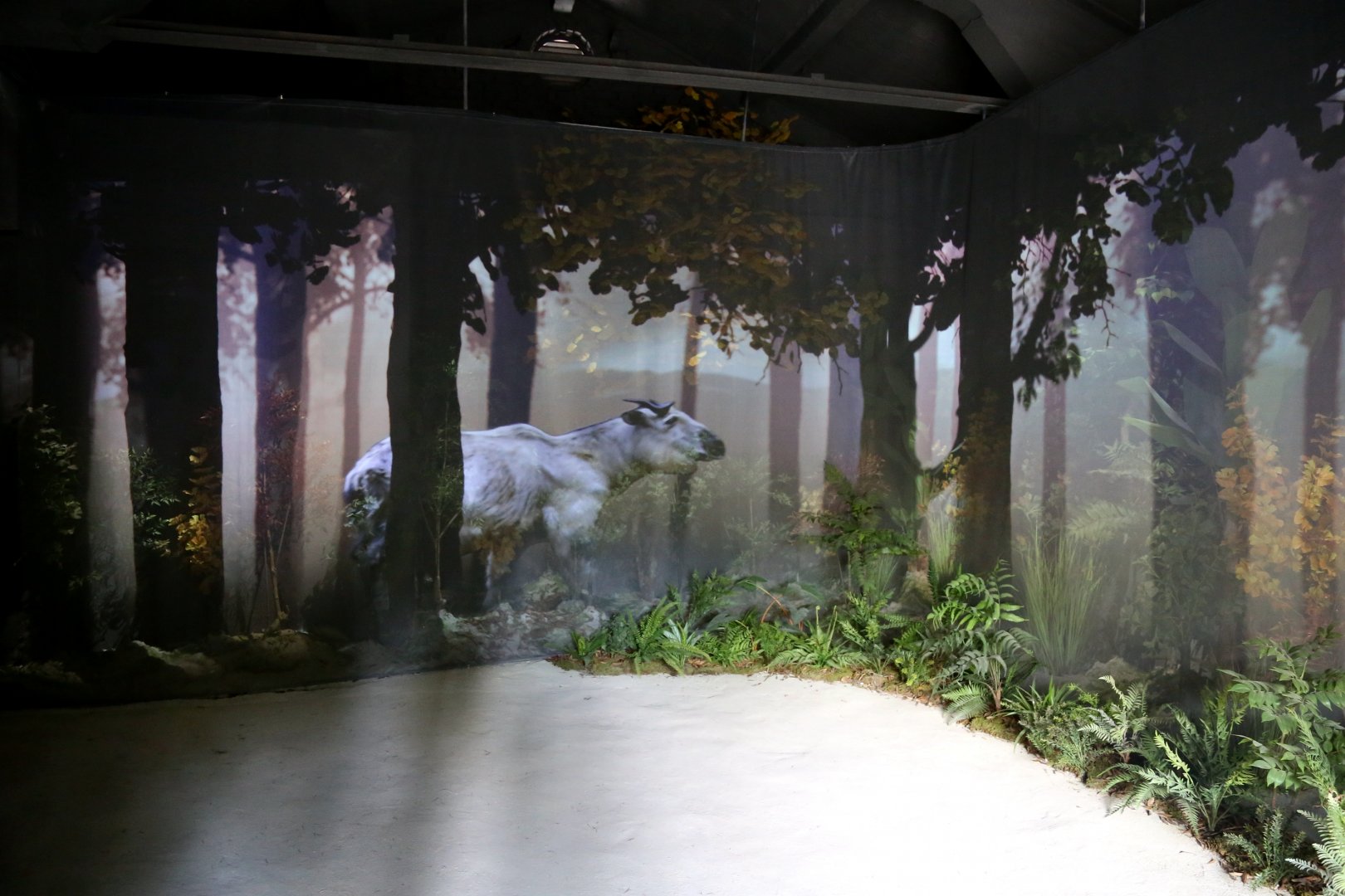 Projection at the Entrance to Tangjiahe