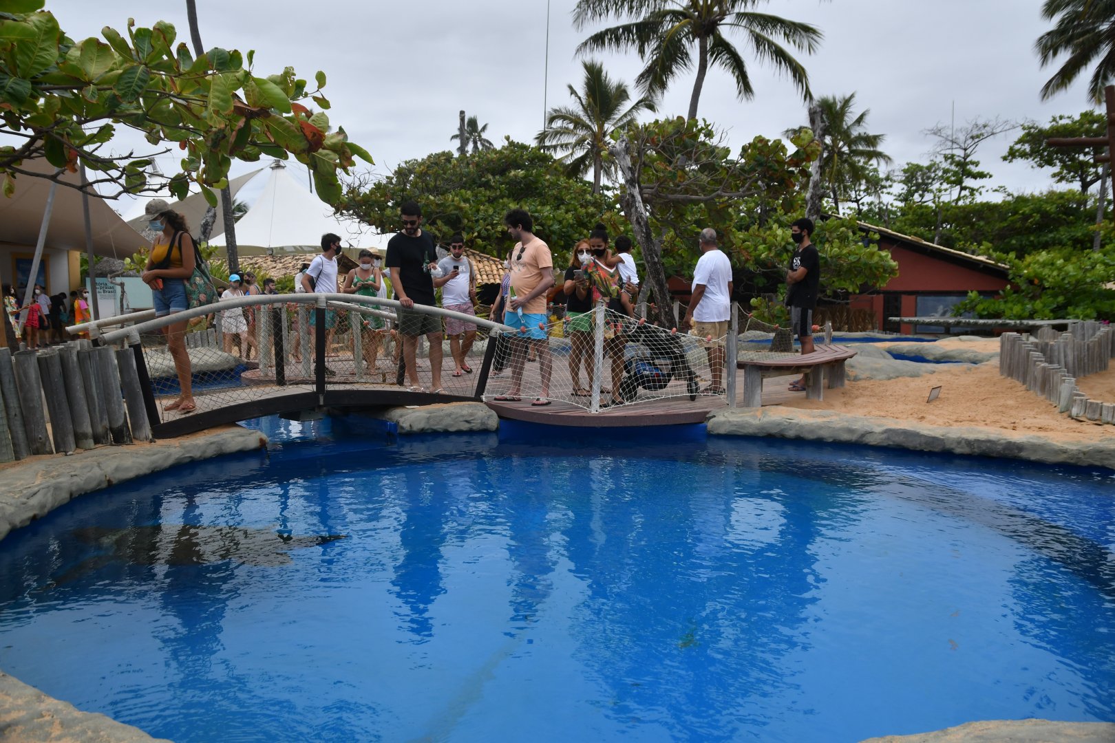 Projeto Tamar Praia do Forte - Grounds