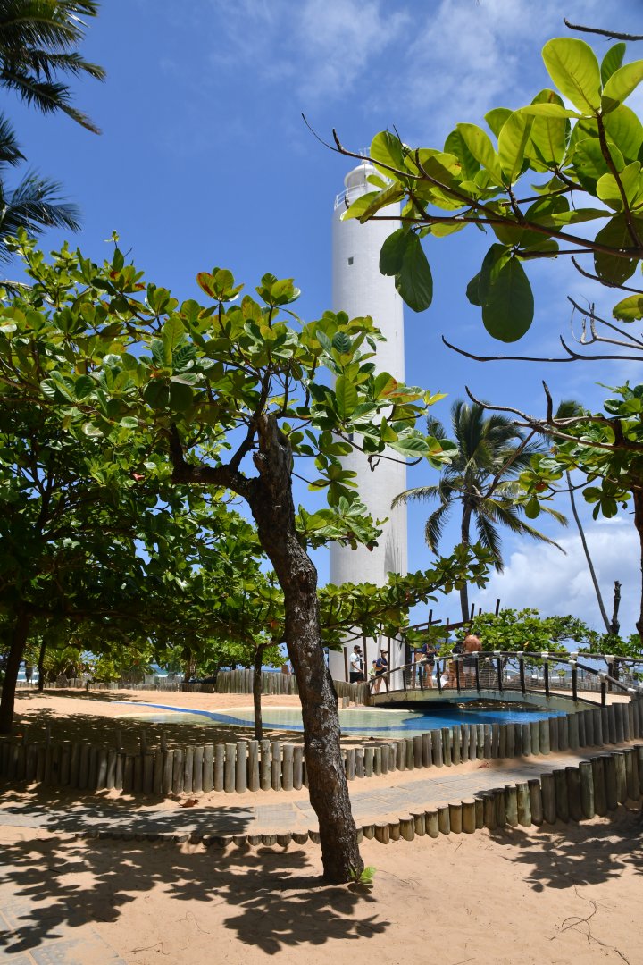 Projeto Tamar Praia do Forte - Grounds