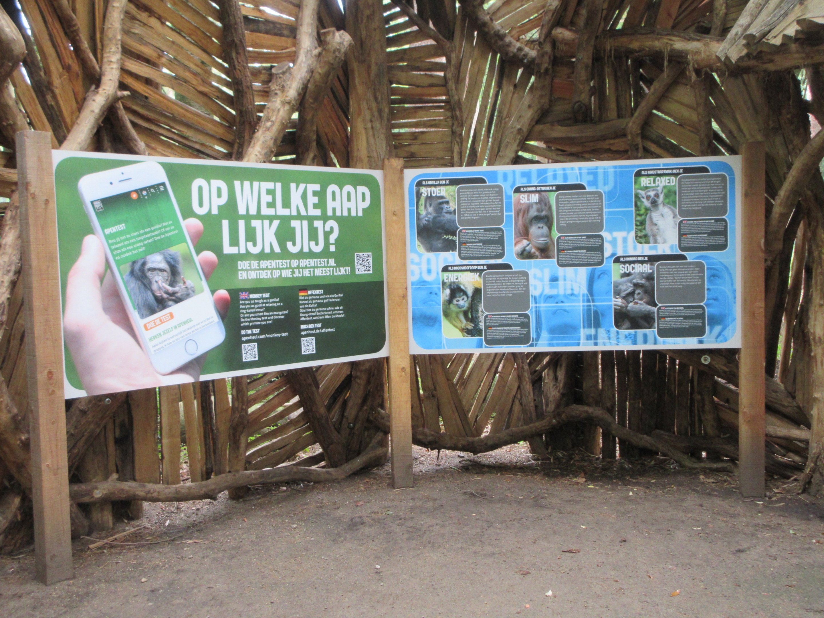 Promotion of the zoo's APP