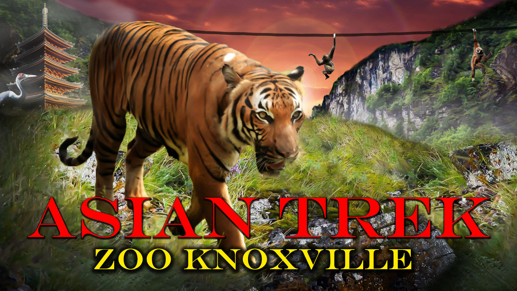 Promotional Art for the Asian Trek | Zoo Knoxville