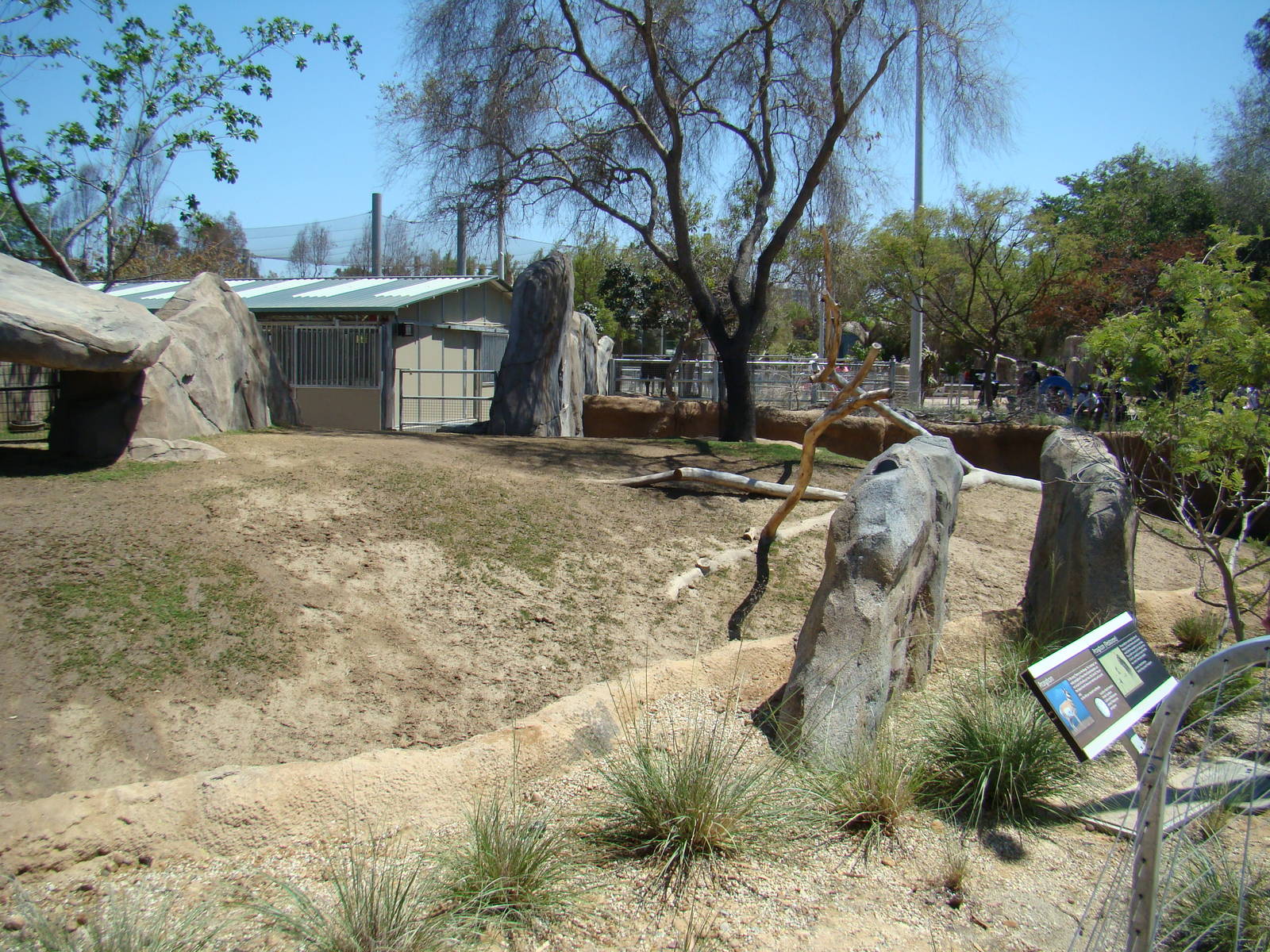 Pronghorn and Camel mixed exhibit