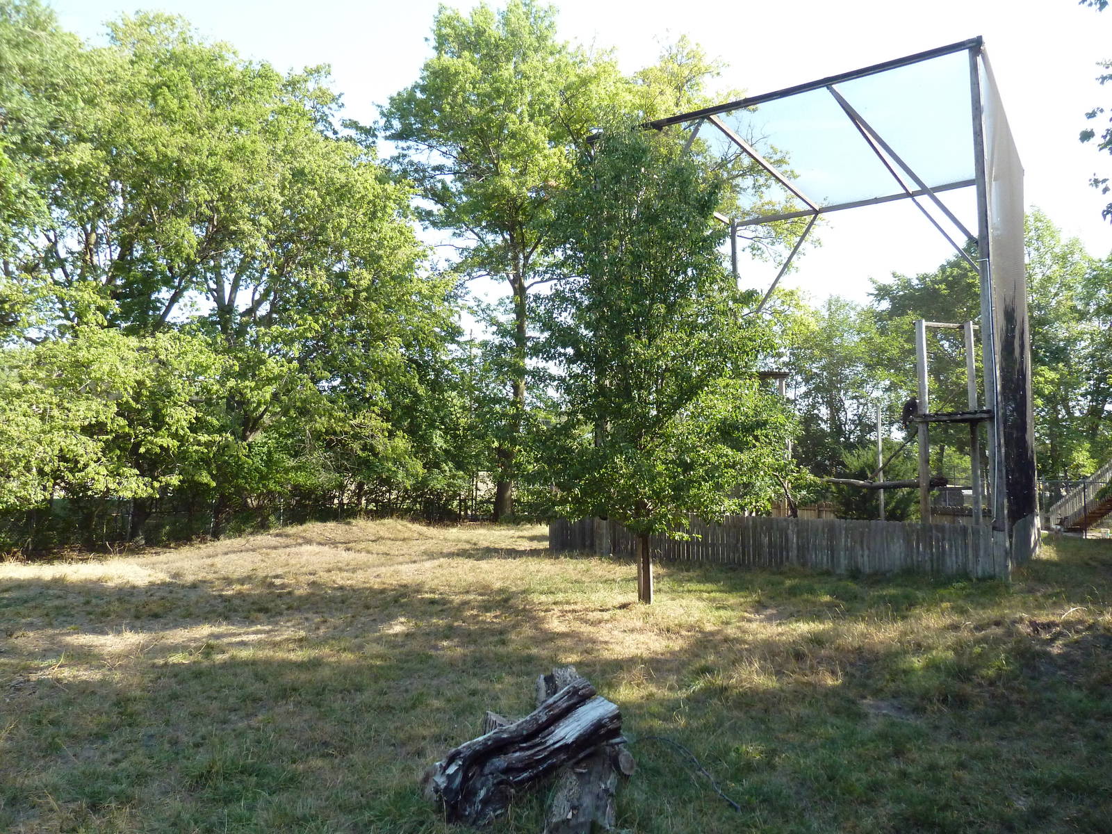 Pronghorn Antelope Exhibit + Golden Eagle Aviary