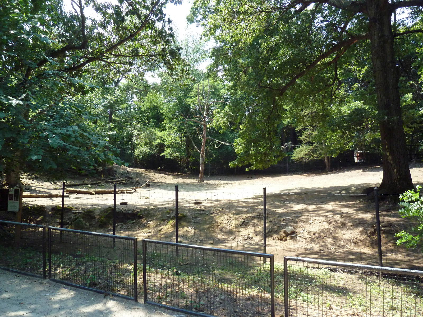 Pronghorn Antelope Exhibit