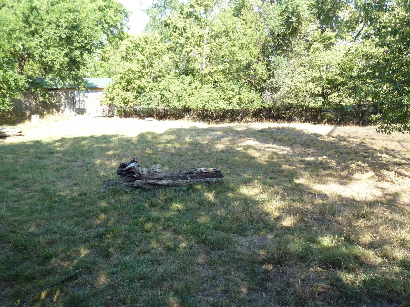Pronghorn Antelope Exhibit