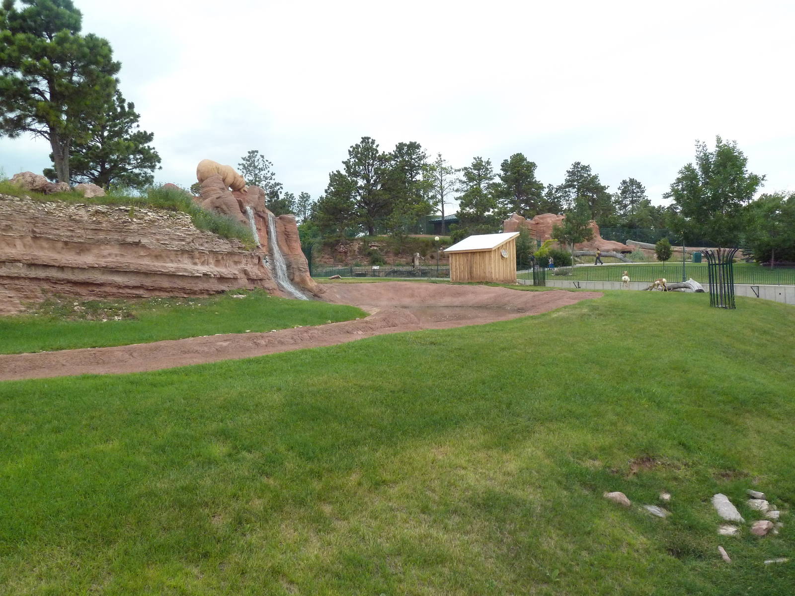 Pronghorn Antelope Exhibit