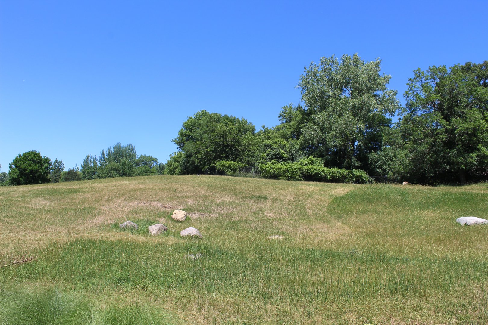 Pronghorn Exhibit - Northern Trail