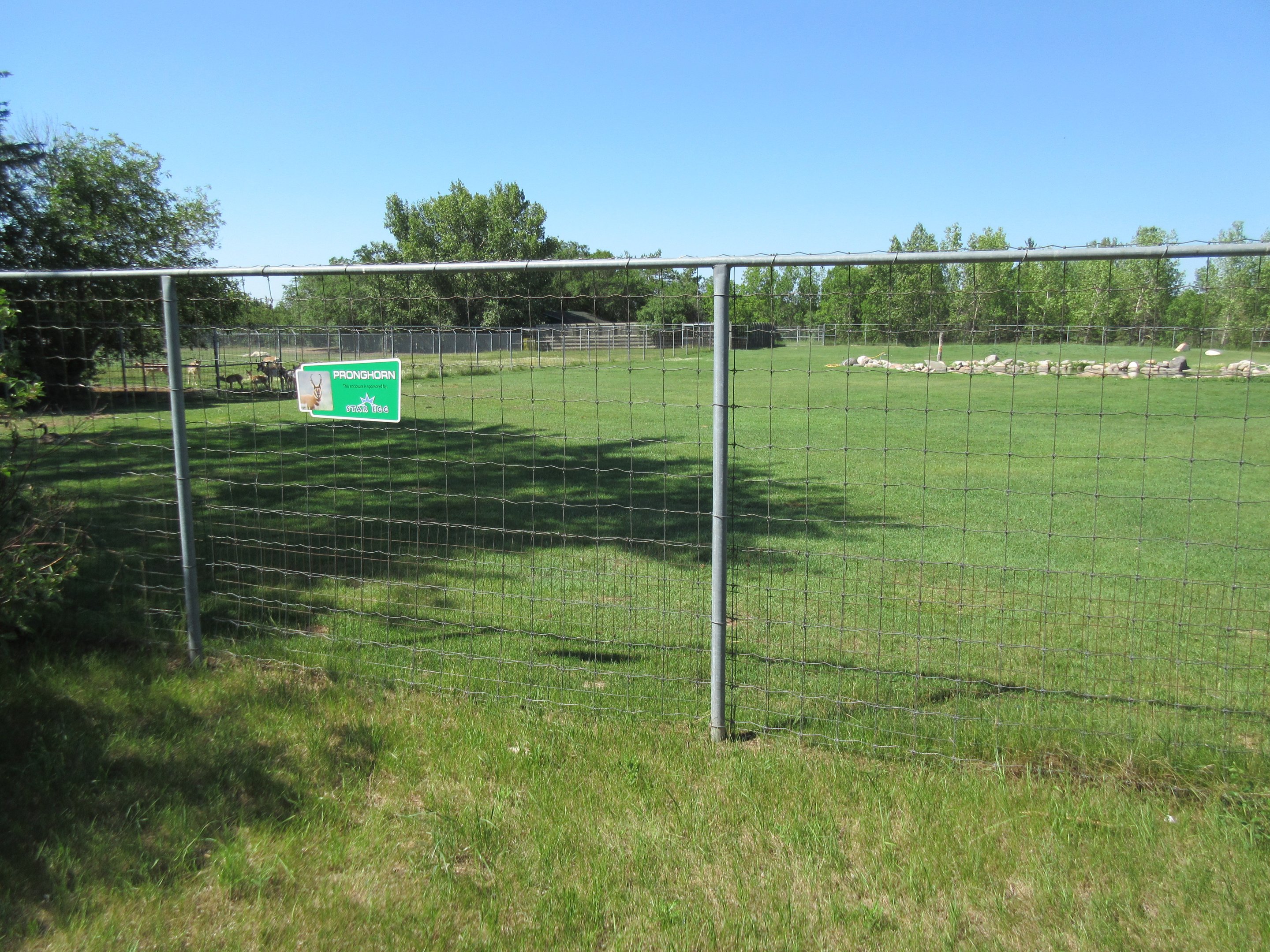 Pronghorn Exhibit