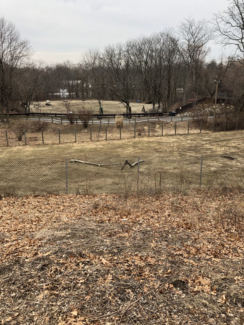 Pronghorn Habitat - Feb, 2020