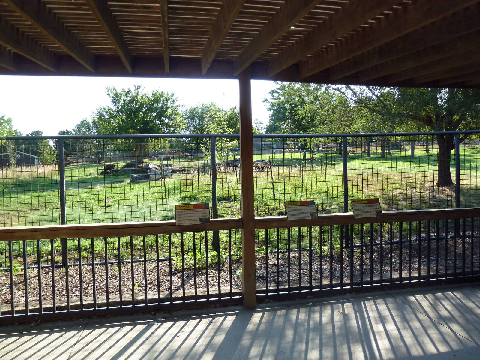 Pronghorn/Mule Deer/White-Tailed Deer Exhibit