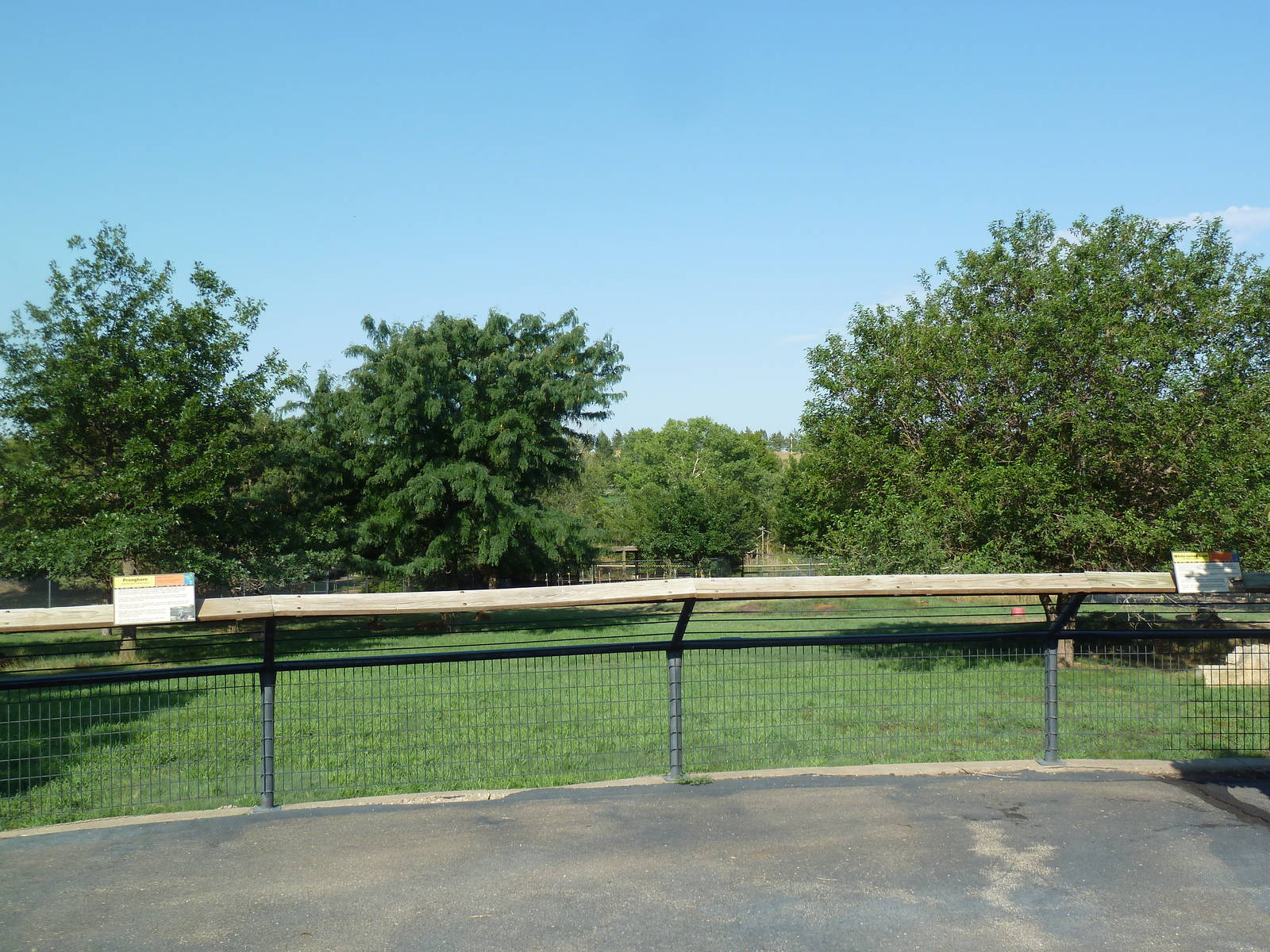 Pronghorn/Mule Deer/White-Tailed Deer Exhibit