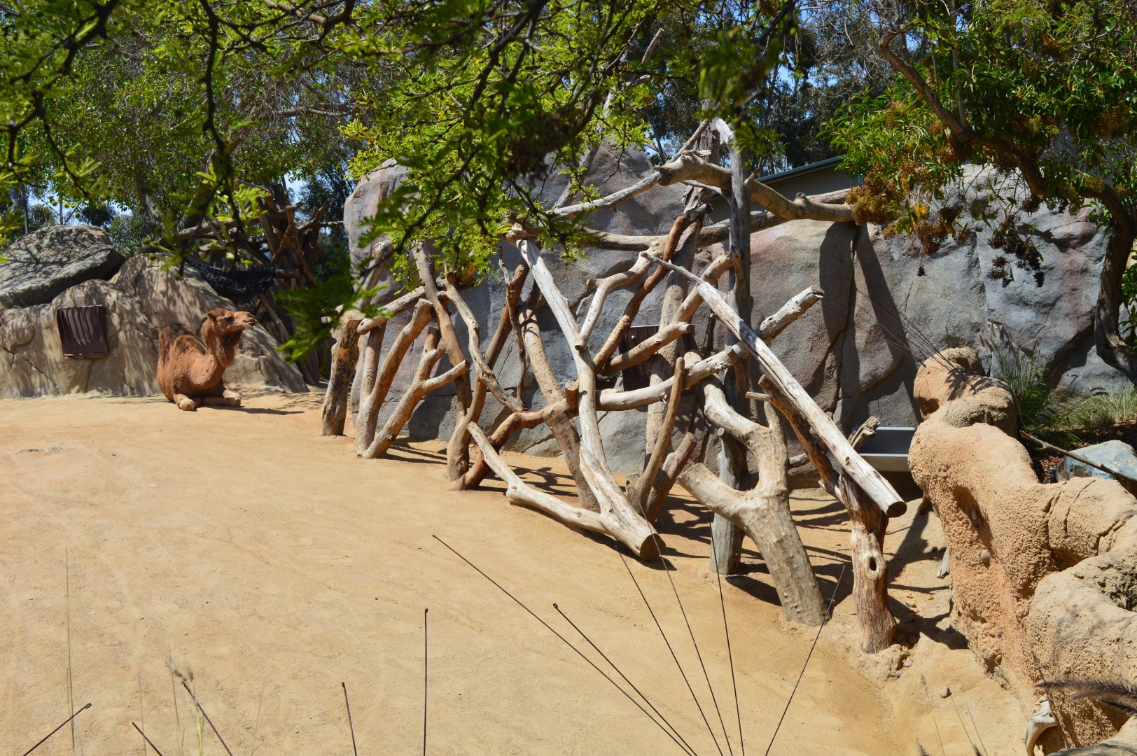Pronghorn Separation Area