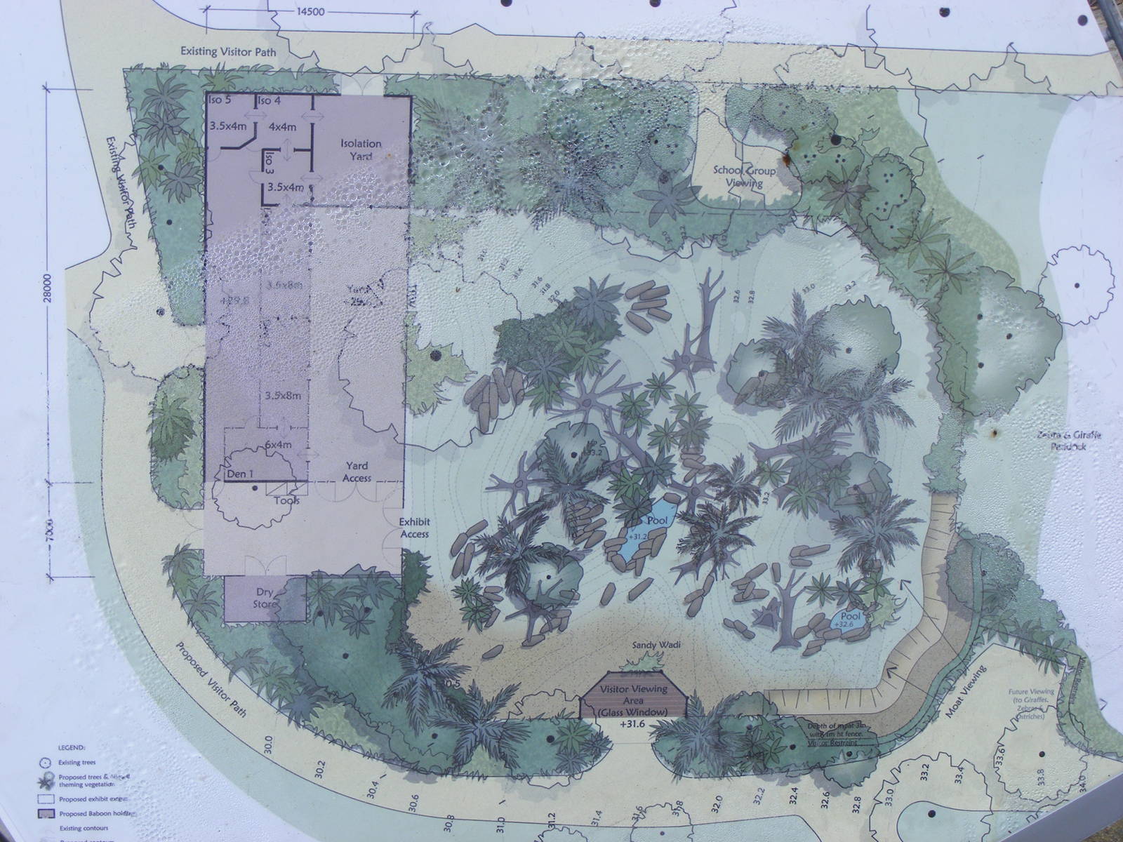 Proposed Baboon Exhibit - September, 2010