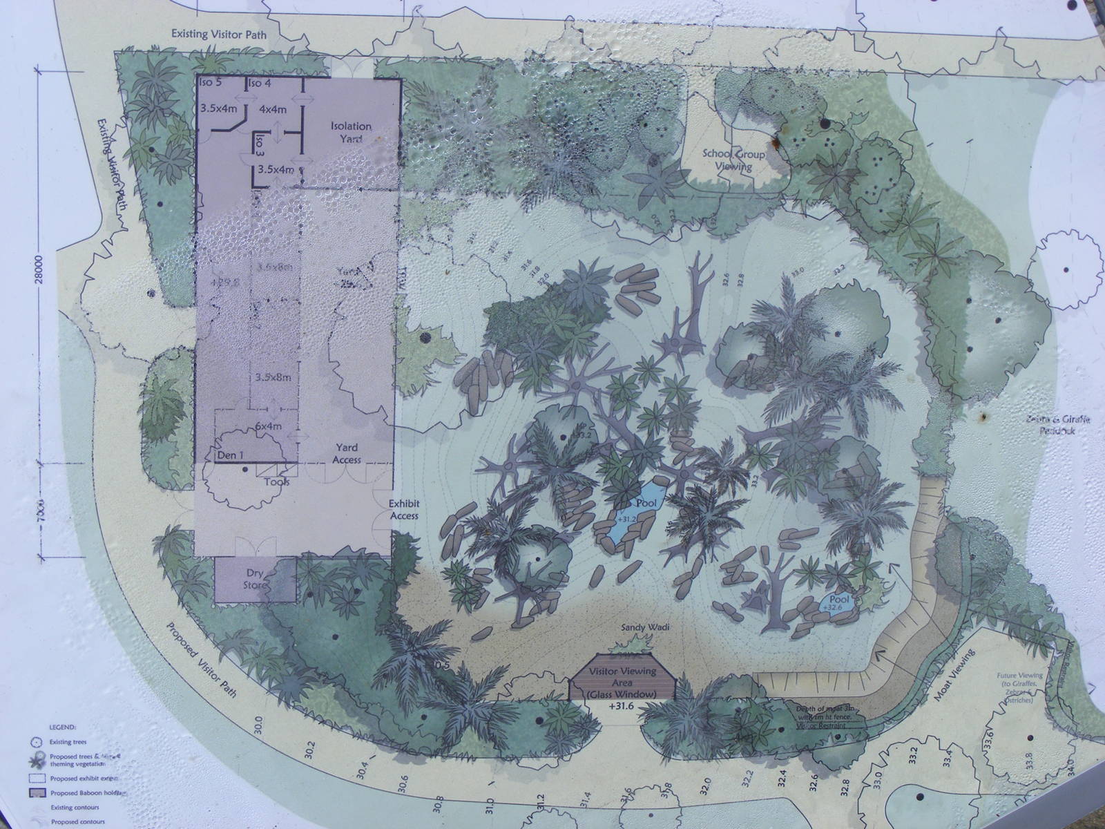 Proposed Baboon Exhibit - September, 2010