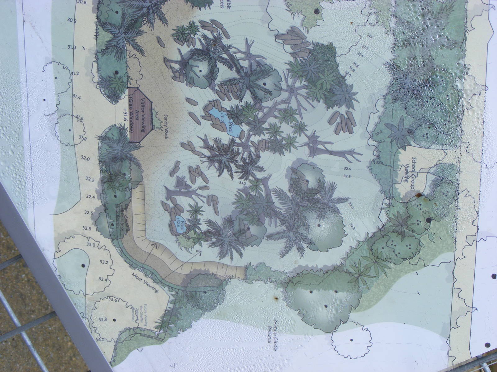 Proposed Baboon Exhibit - September, 2010