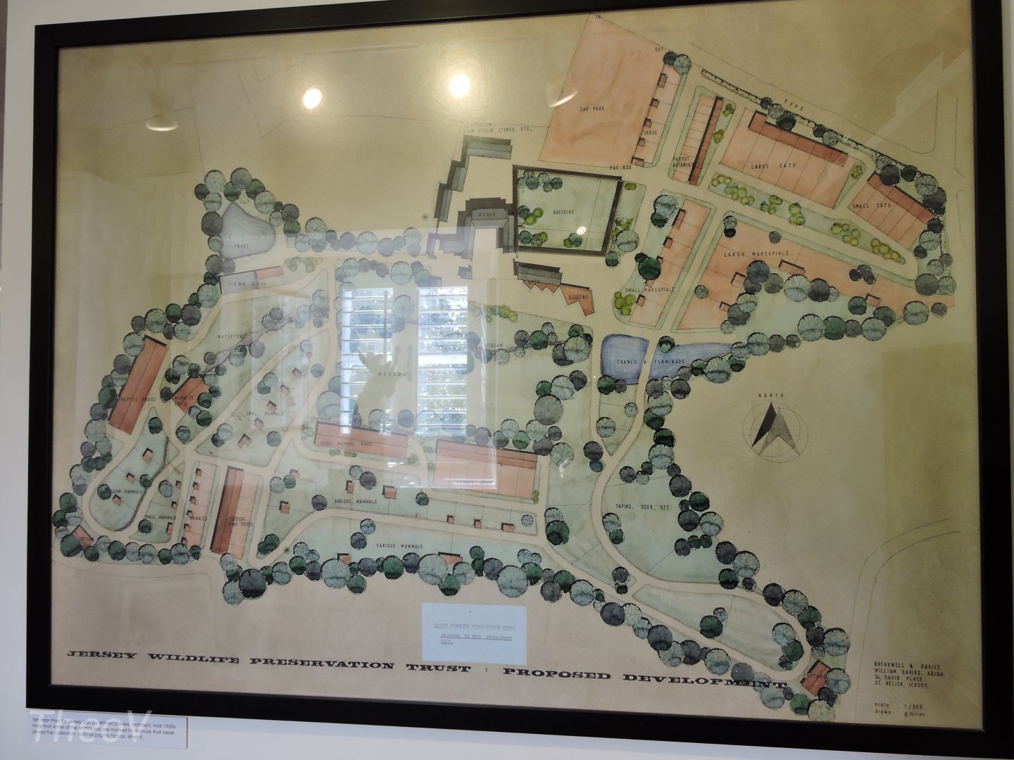 "Proposed development", mid 1960's [2015]