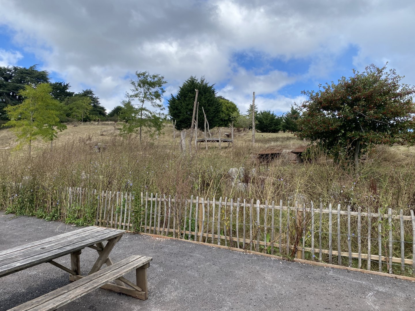 Proposed Hamadryas baboon exhibit 030925