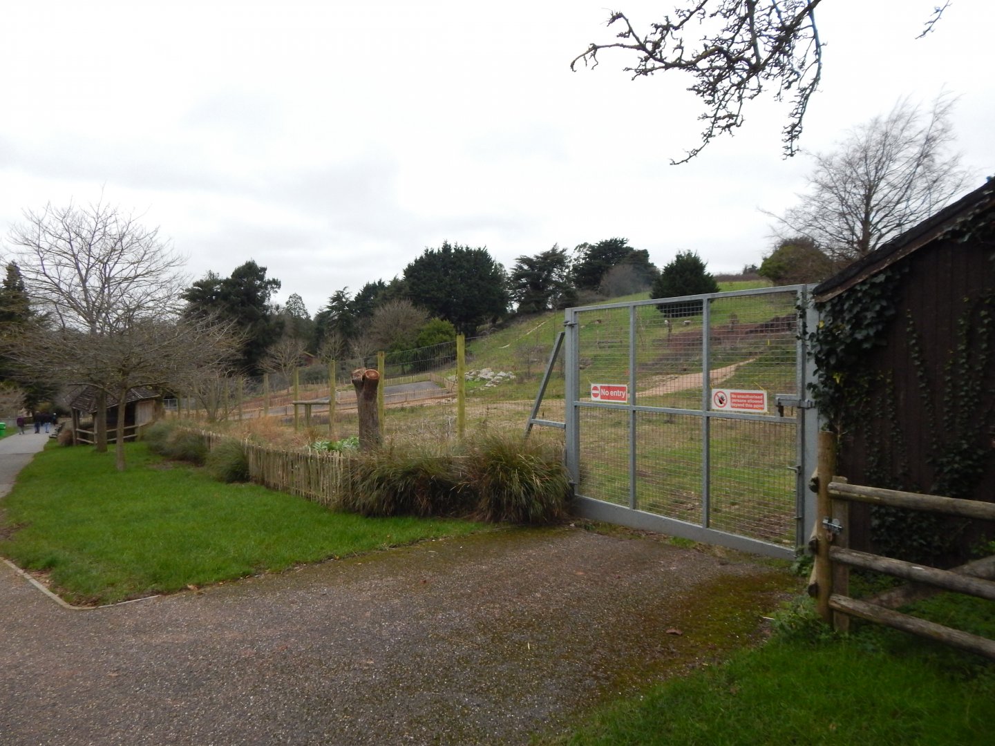 Proposed Hamadryas baboon habitat 111224