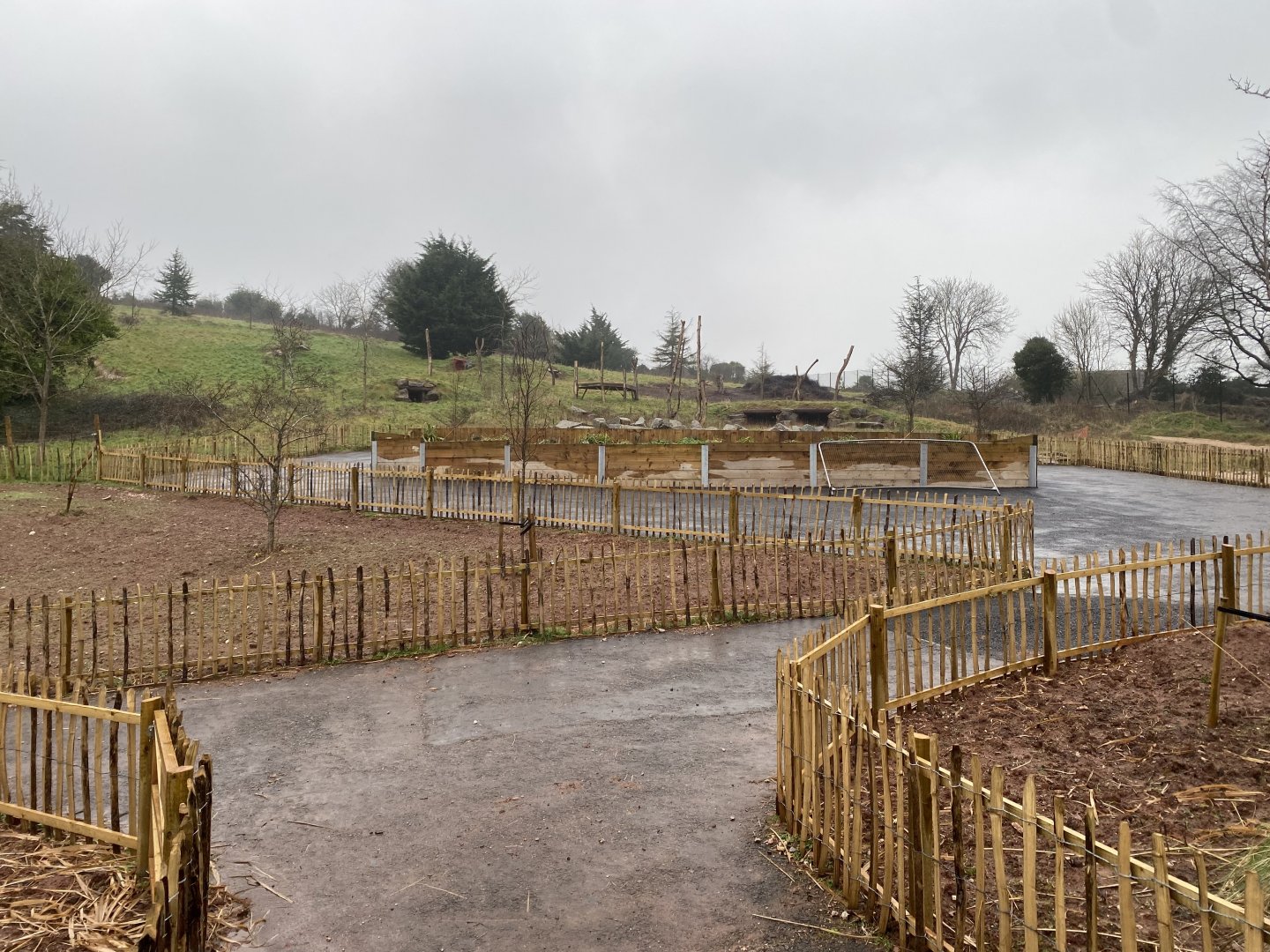 Proposed new Hamadryas baboon exhibit 150225