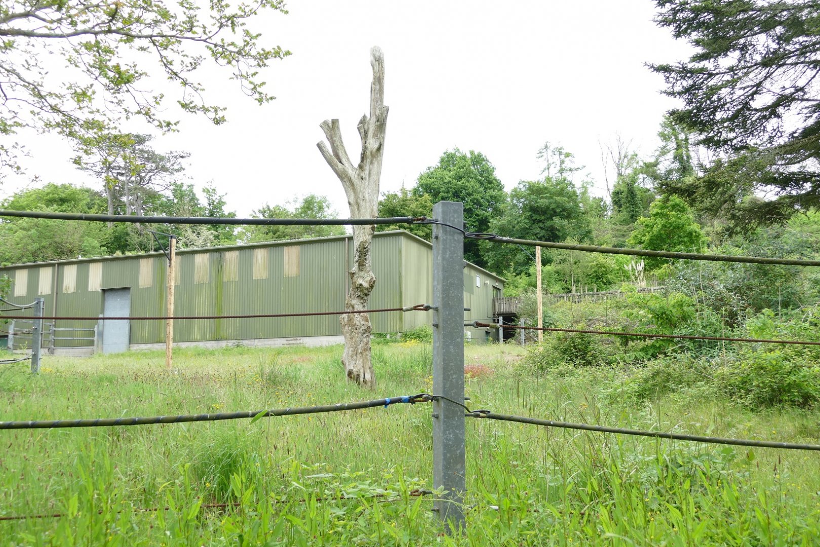 Proposed Rothschild's Giraffe enclosure, May 2022