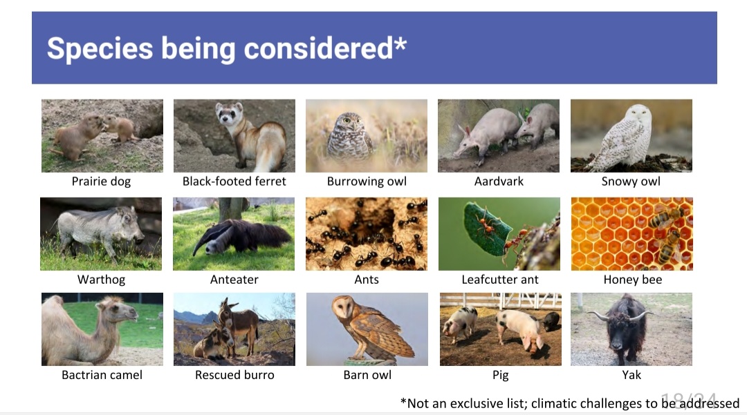 Proposed Species For Detroit Zoo KidZone