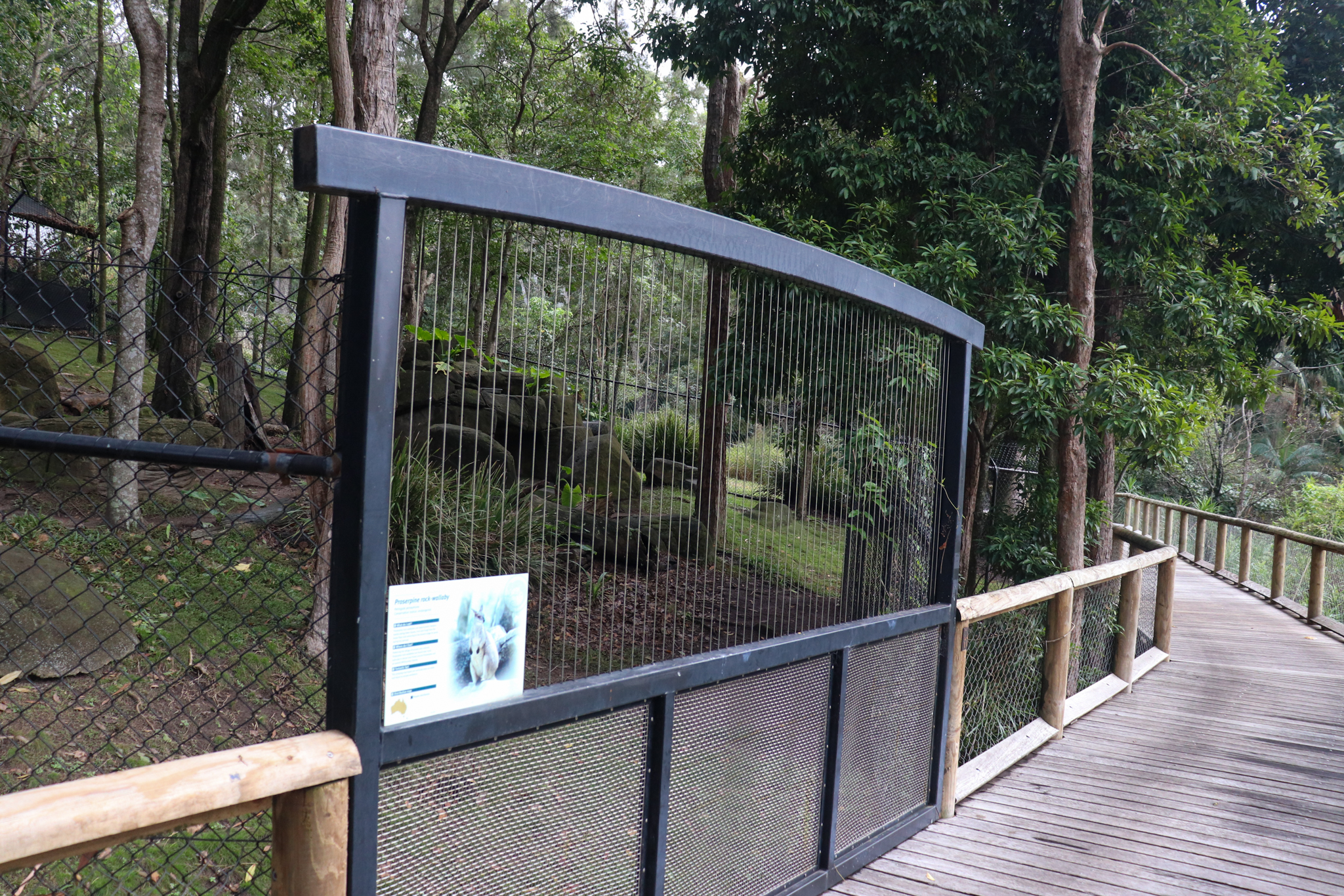 Proserpine Rock Wallaby Enclosure