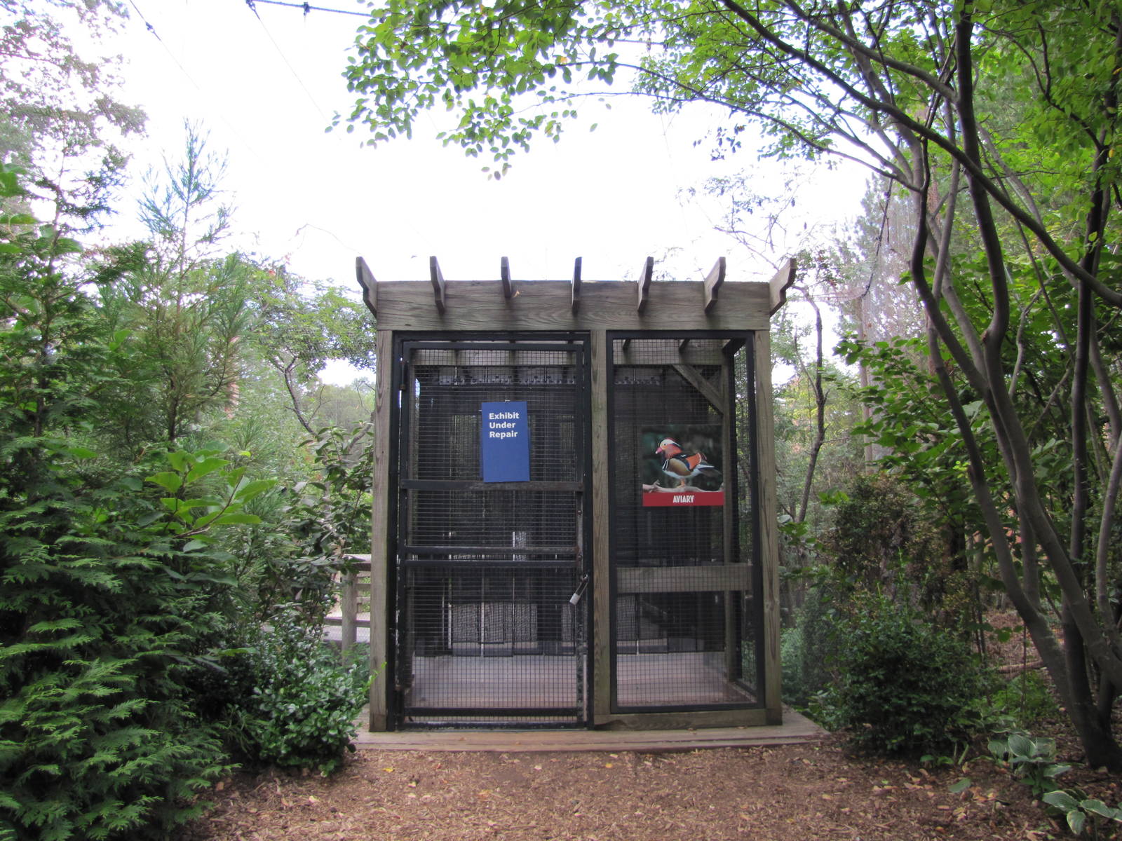 Prospect Park Zoo 2010 - Closed Free-flight Aviary in Discovery Trail