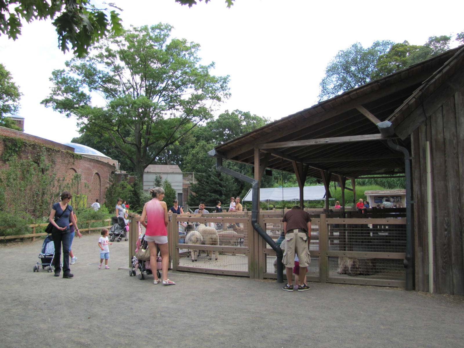 Prospect Park Zoo 2010 - General view in Childrens Zoo