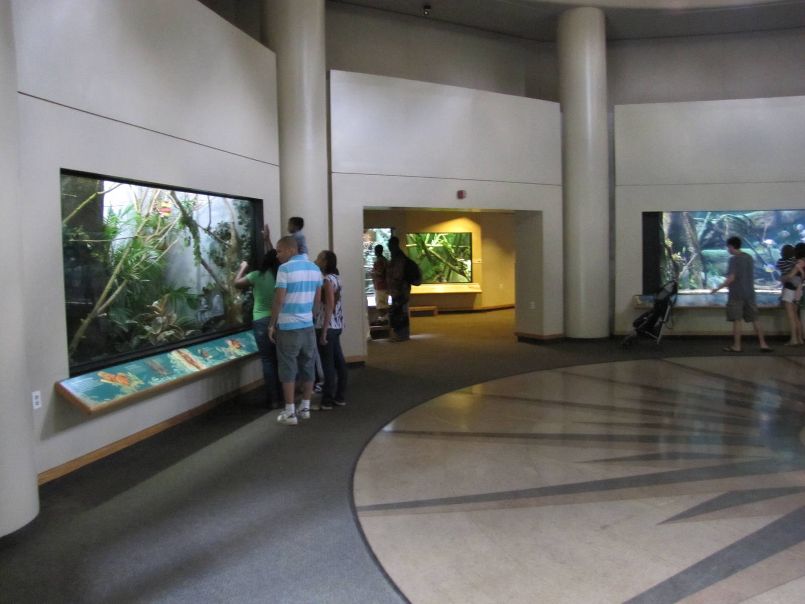 Prospect Park Zoo 2010 - Inside Animal Lifestyles building